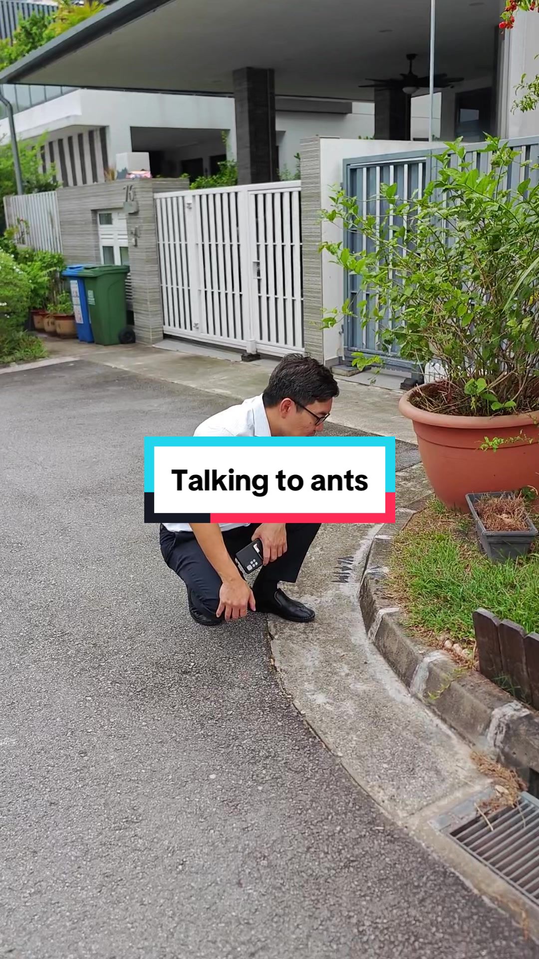 Skit: Disclaimer: No ants were hurt in the making of this video